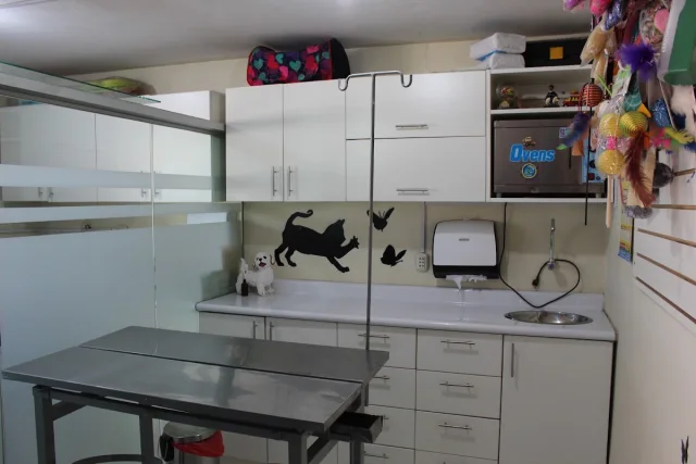 San Jerónimo Veterinaria y Spa - Veterinarias - San Sebastián - Cusco
