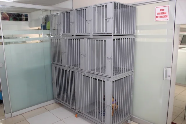 San Jerónimo Veterinaria y Spa - Veterinarias - San Sebastián - Cusco