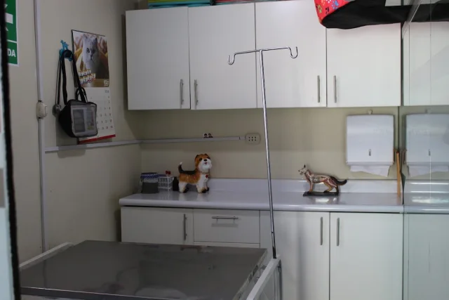San Jerónimo Veterinaria y Spa - Veterinarias - San Sebastián - Cusco