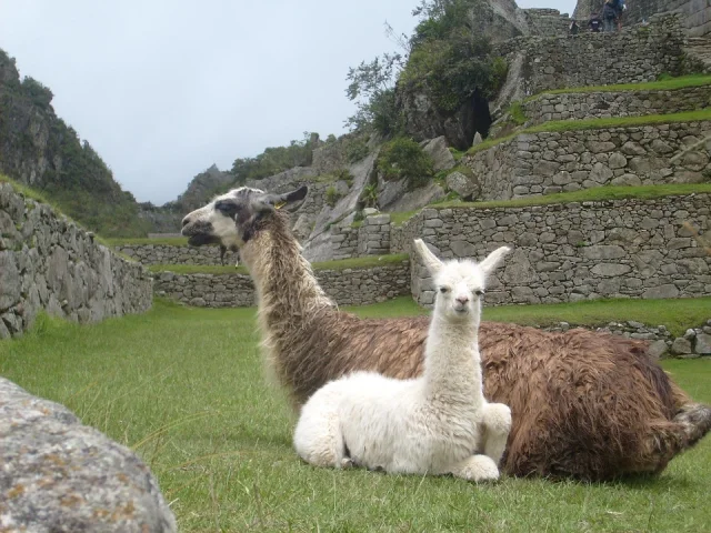 Fotografía de Venta de terrenos en Cusco San sebastian