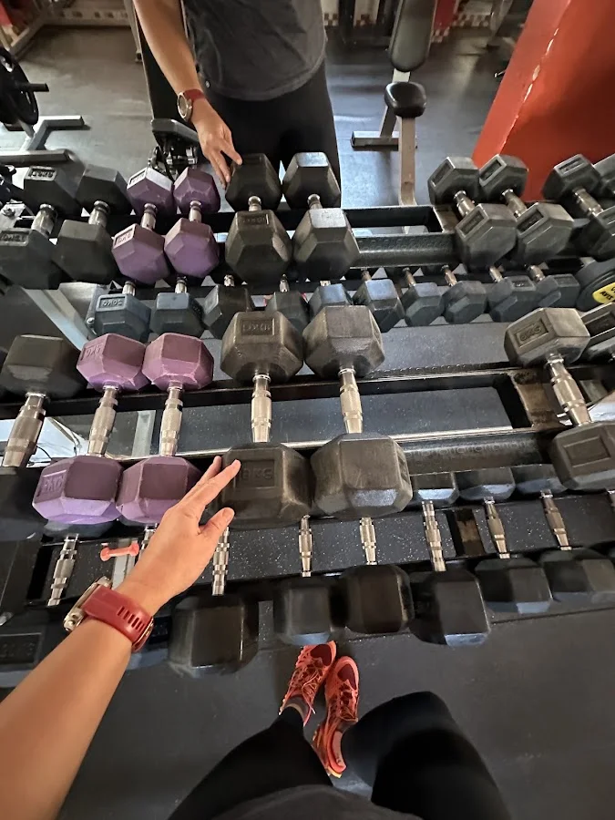 Panda Gym - Gimnasios - San Jerónimo - Cusco - San Jerónimo — Pueblo o villa (capital)